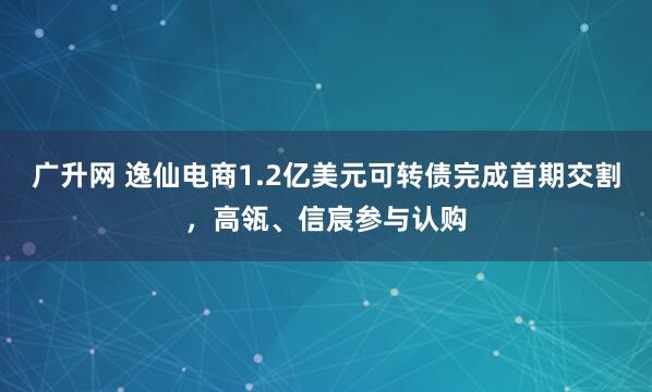 广升网 逸仙电商1.2亿美元可转债完成首期交割，高瓴、信宸参与认购
