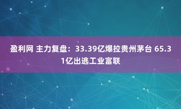 盈利网 主力复盘：33.39亿爆拉贵州茅台 65.31亿出逃工业富联