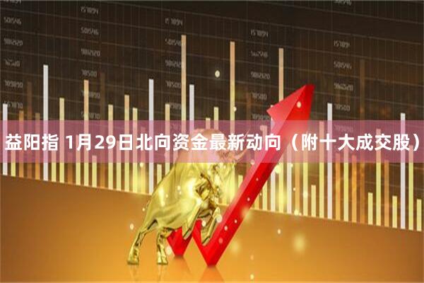 益阳指 1月29日北向资金最新动向（附十大成交股）
